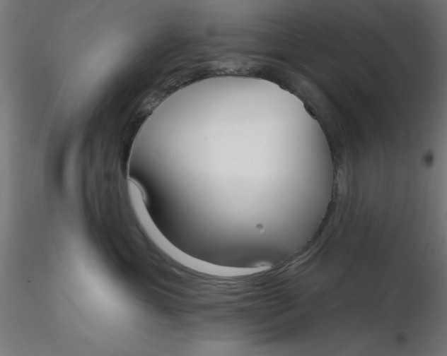 X0000116650429200912291620