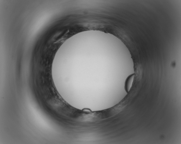 X0000116650430200912291620