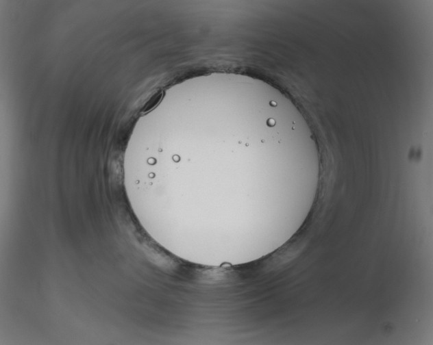 X0000116650432200912291620