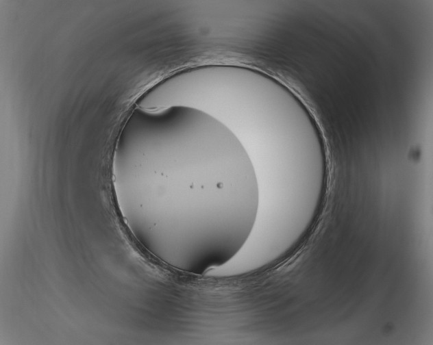 X0000116650433200912291619