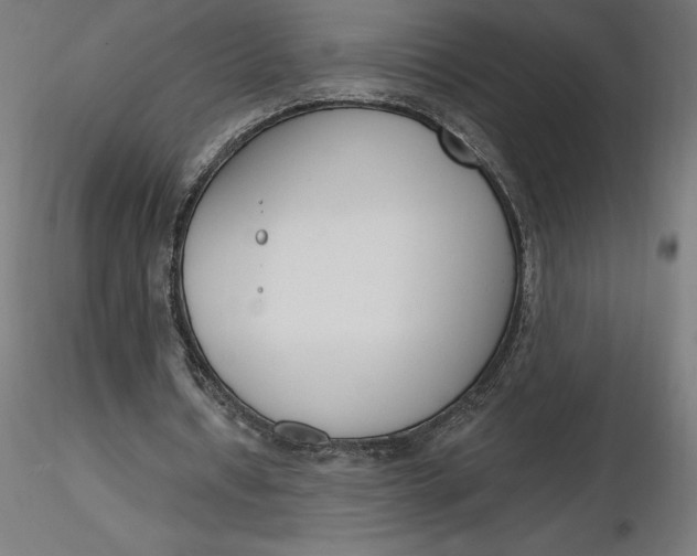 X0000116650434200912291619