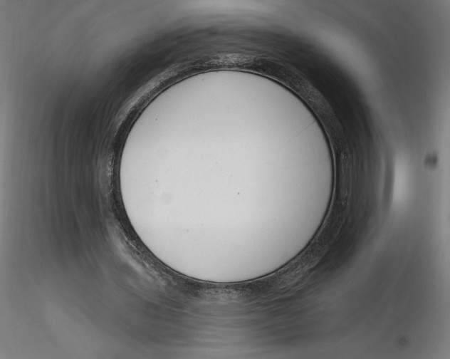 X0000116650435200912291619