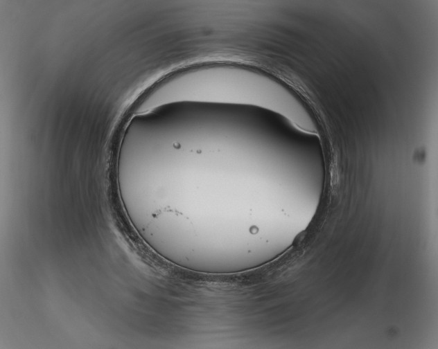 X0000116650436200912291619