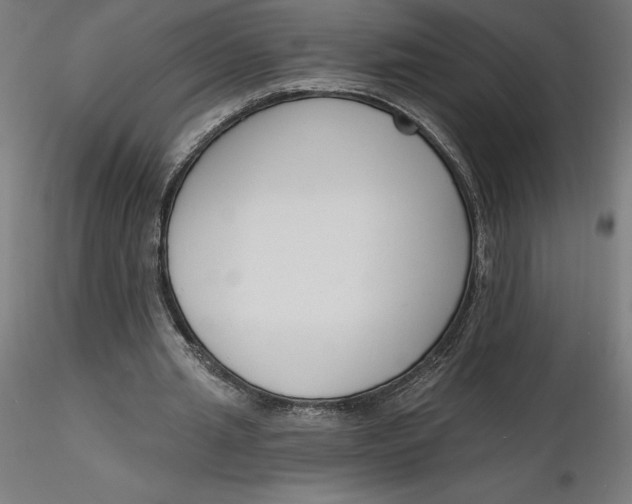 X0000116650437200912291619