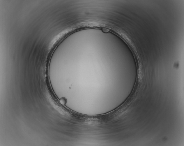 X0000116650438200912291619