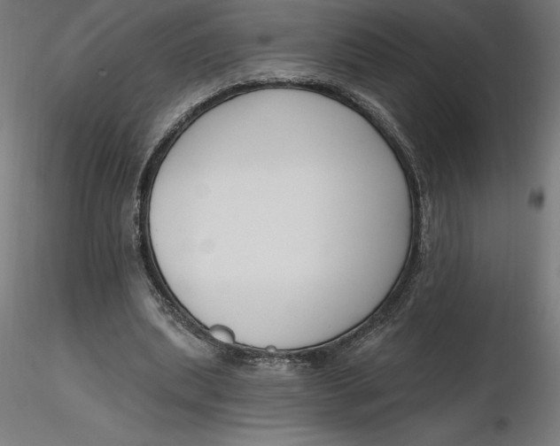 X0000116650439200912291619