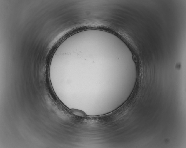 X0000116650440200912291619