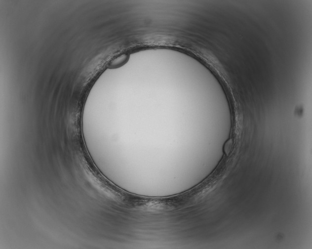 X0000116650441200912291619