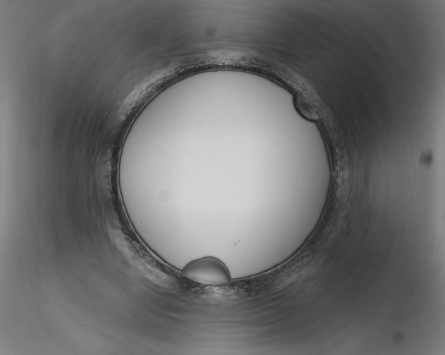 X0000116650442200912291619