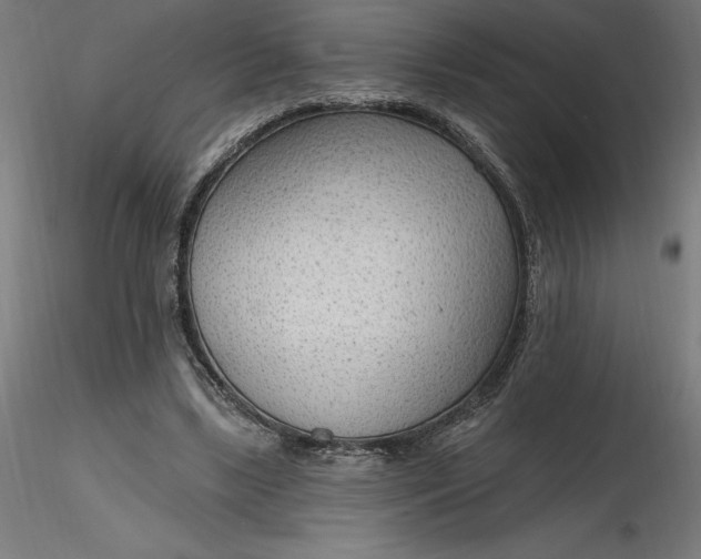 X0000116650443200912291619