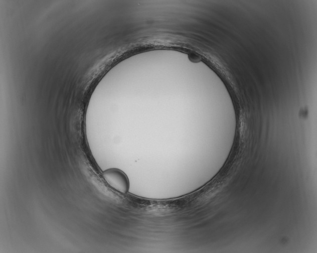 X0000116650445200912291619