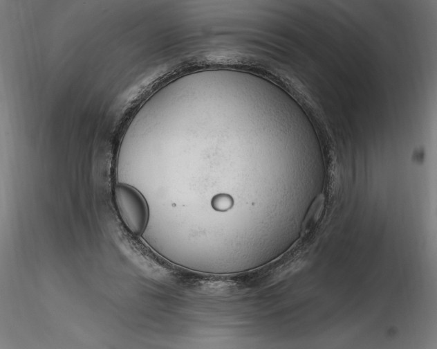 X0000116650446200912291619