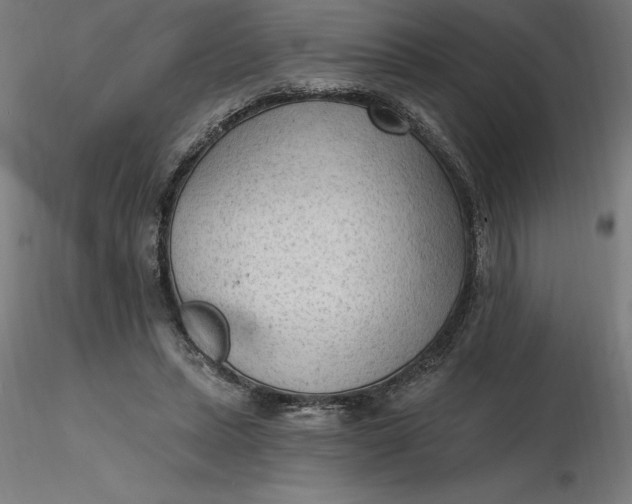 X0000116650447200912291619