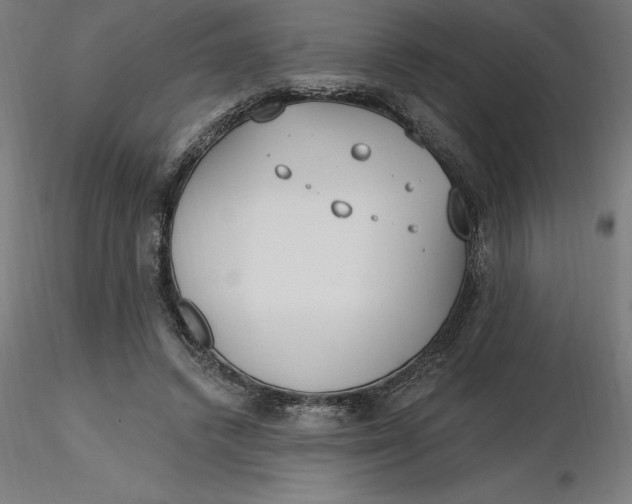 X0000116650448200912291619