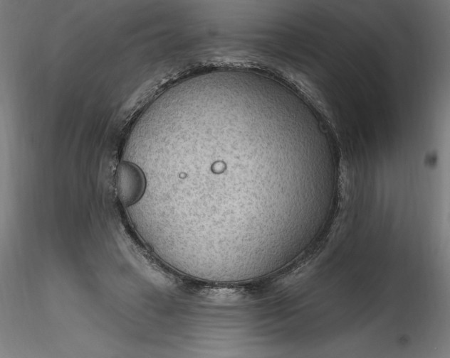 X0000116650449200912291619