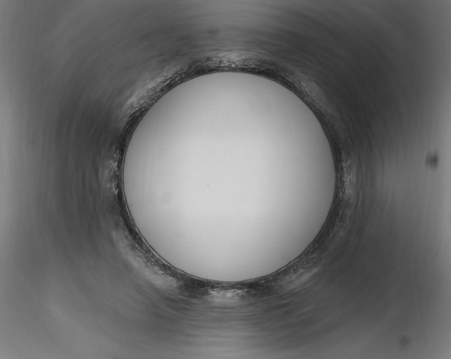 X0000116650450200912291619