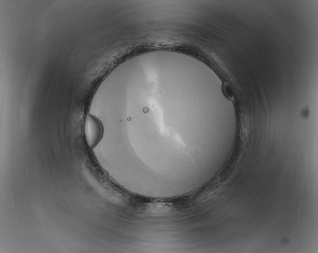 X0000116650451200912291619