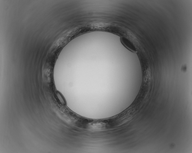 X0000116650452200912291619