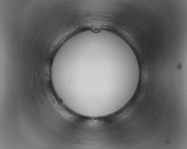 X0000116650453200912291619