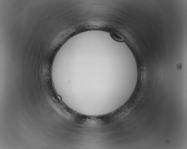 X0000116650455200912291620