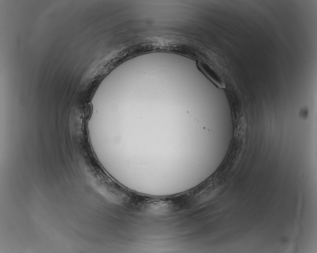 X0000116650456200912291620