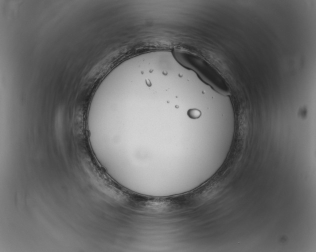 X0000116650457200912291620