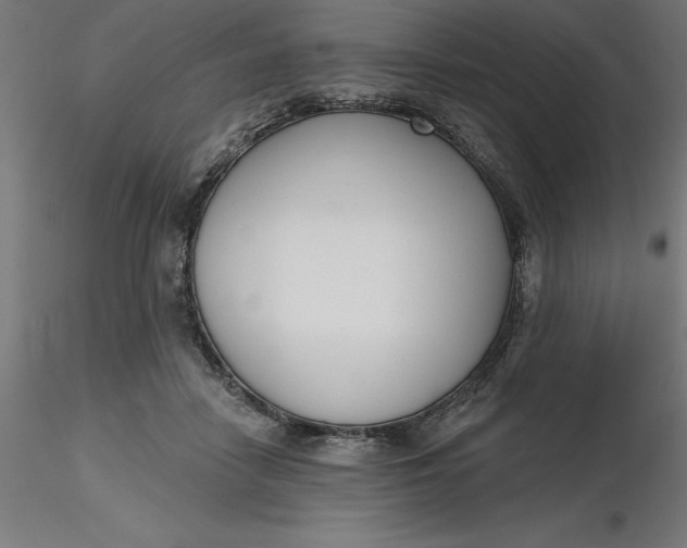 X0000116650458200912291620