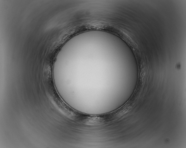 X0000116650459200912291620