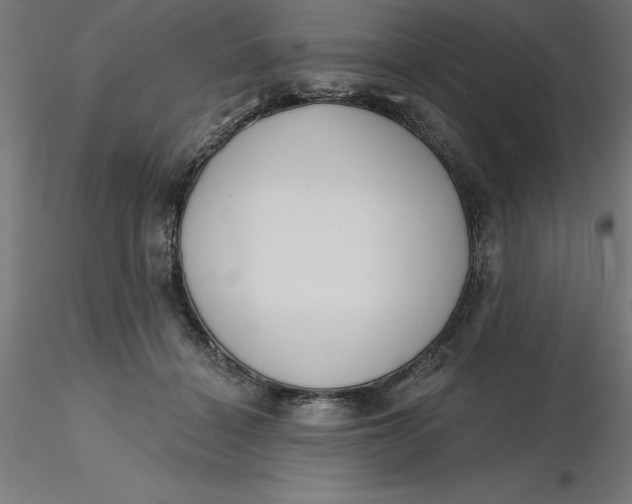 X0000116650460200912291620