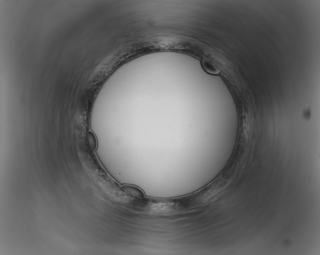 X0000116650461200912291620