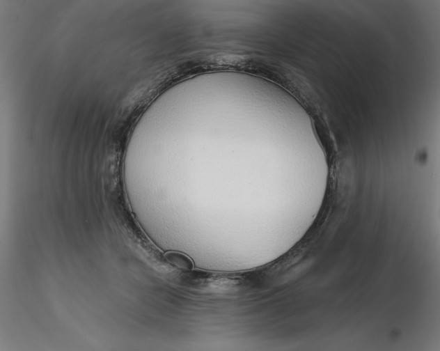 X0000116650462200912291620