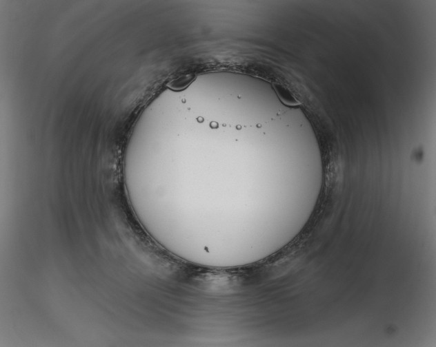 X0000116650464200912291620