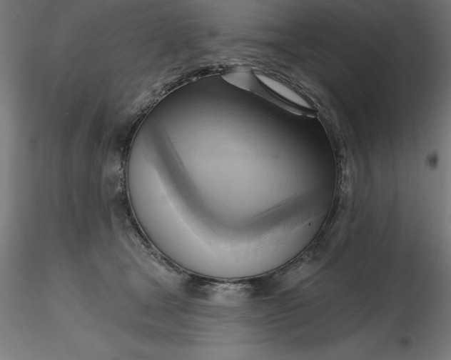 X0000116650465200912291620