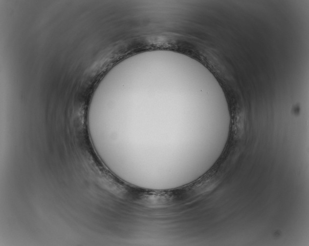 X0000116650466200912291620