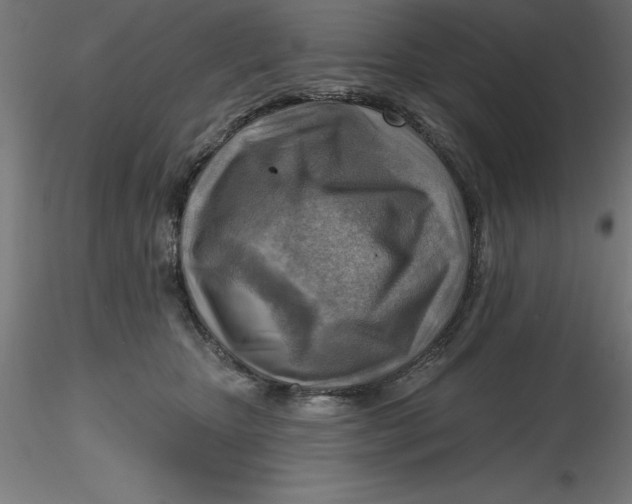 X0000116650467200912291620