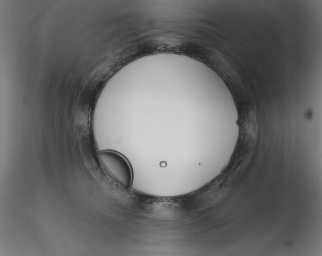 X0000116650468200912291620