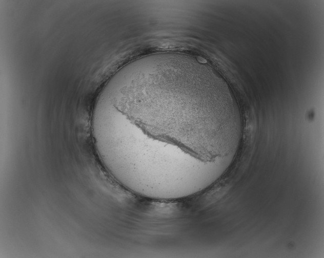 X0000116650469200912291620