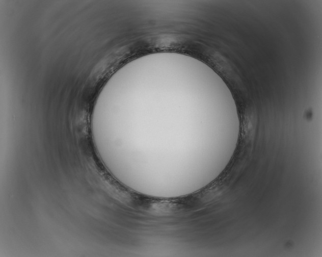 X0000116650470200912291620