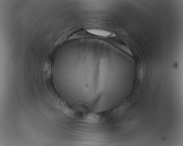 X0000116650471200912291620