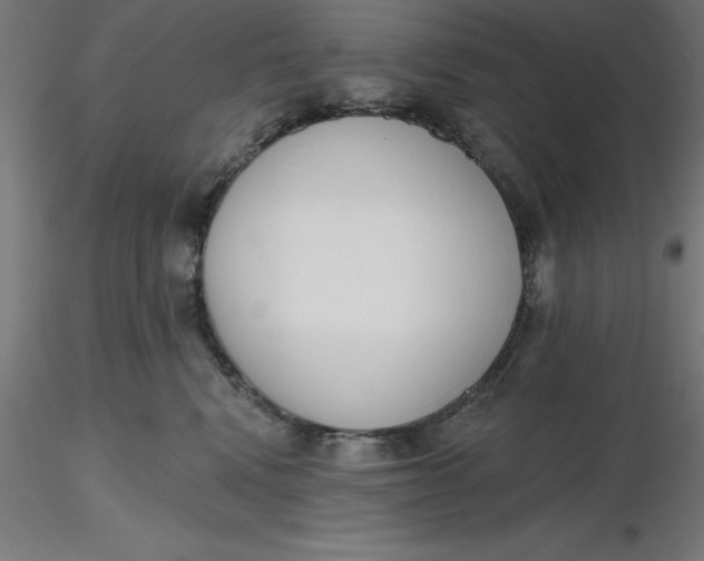 X0000116650472200912291620