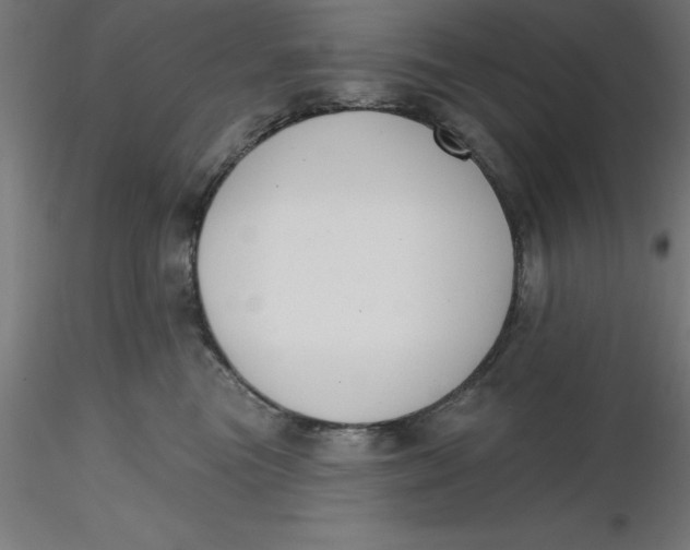 X0000116650473200912291620