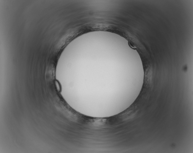 X0000116650474200912291620