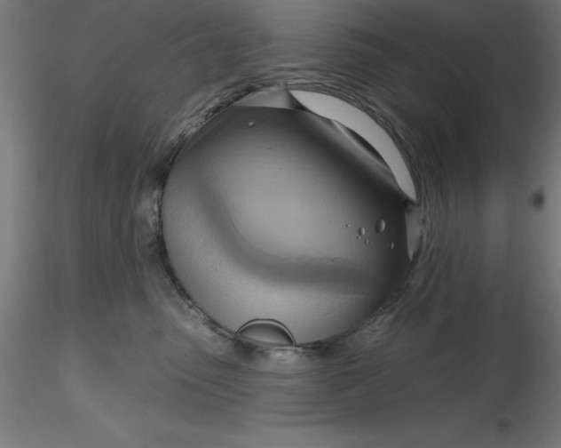 X0000116650475200912291620