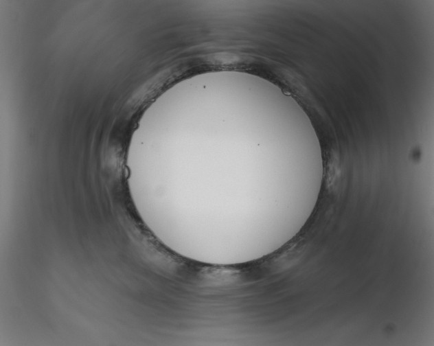 X0000116650476200912291620