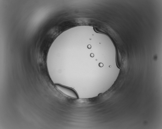 X0000116650477200912291620