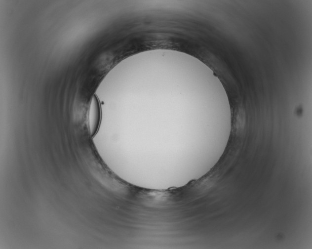 X0000116650478200912291620