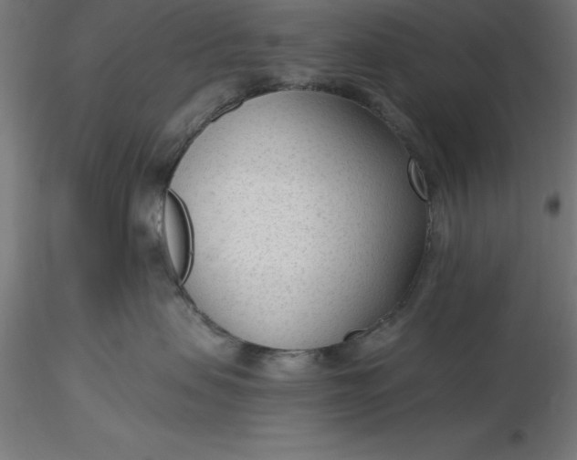 X0000116650479200912291620