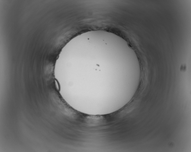 X0000116650480200912291620