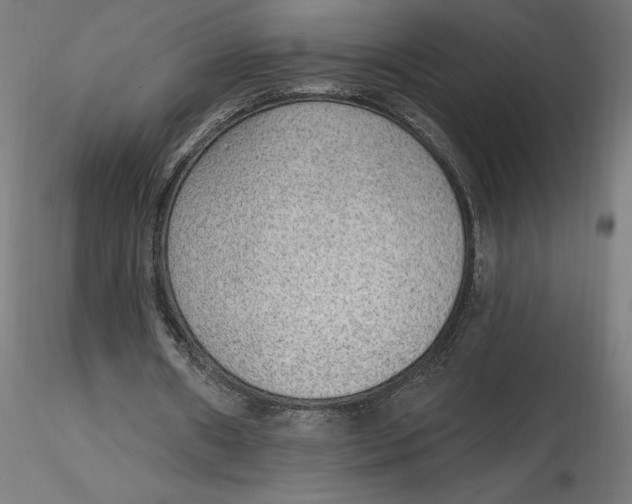 X0000116650482200912291619