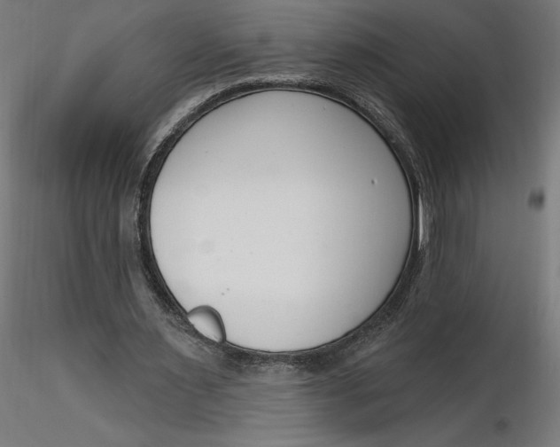 X0000116650483200912291619